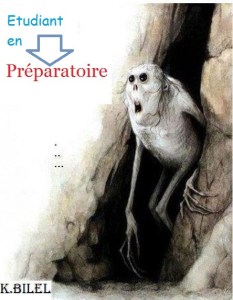 601913_376810885717052_347538682_n